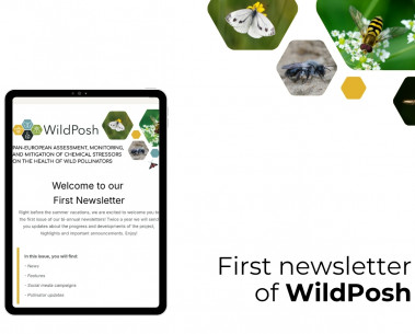 WildPosh has released its first newsletter