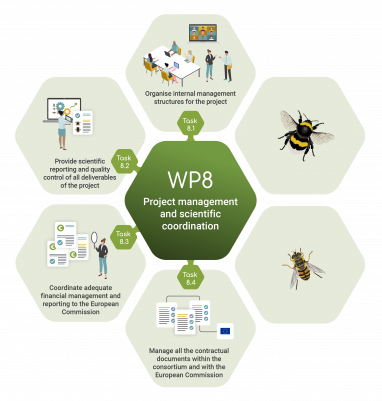 Work package 8 infographic