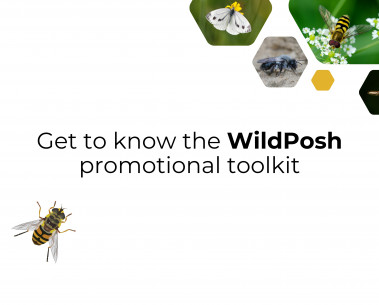 Introducing the WildPosh promotional toolkit