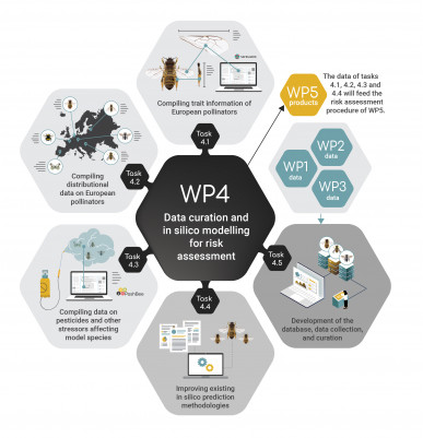 Work package 4 infographic