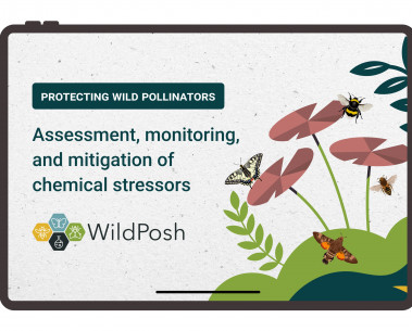 WildPosh releases animated intro video