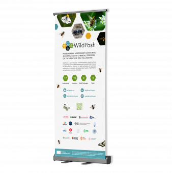 Roll-up banner promotional material