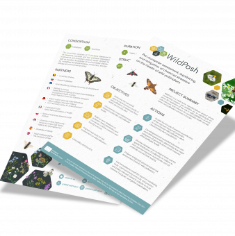 Two-pager promotional material