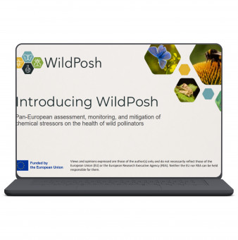 Introductory presentation promotional material