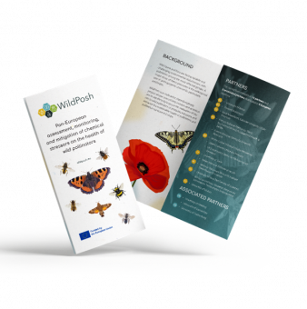 Trifold brochure promotional material