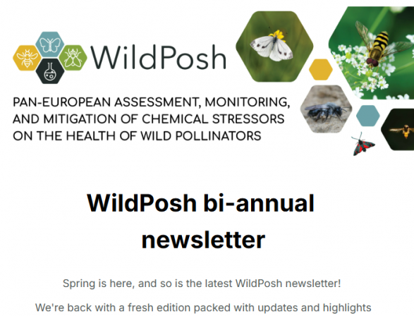 Newsletter #4 newsletter cover