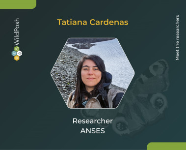 Meet the researchers: Tatiana Cardenas