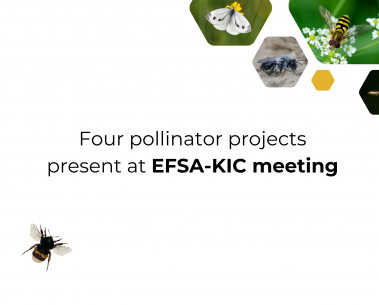 WildPosh and three other pollinator projects present at EFSA-KIC meeting