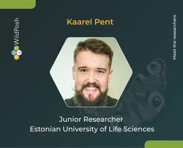 Meet the researchers: Kaarel Pent