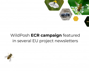 WildPosh mentioned in several EU project newsletters