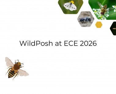 WildPosh partners present research at ECE 2026