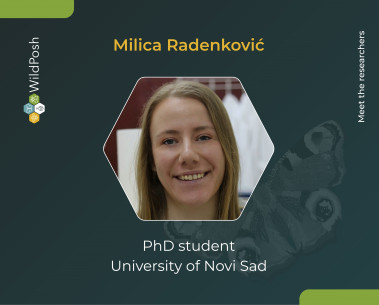 Meet the researchers: Milica Radenković