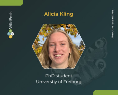 Meet the researchers: Alicia Kling