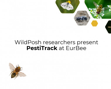 A harmonised pesticide-use database for Europe presented at EurBee