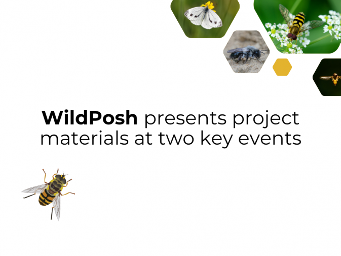 WildPosh spotted at two key events