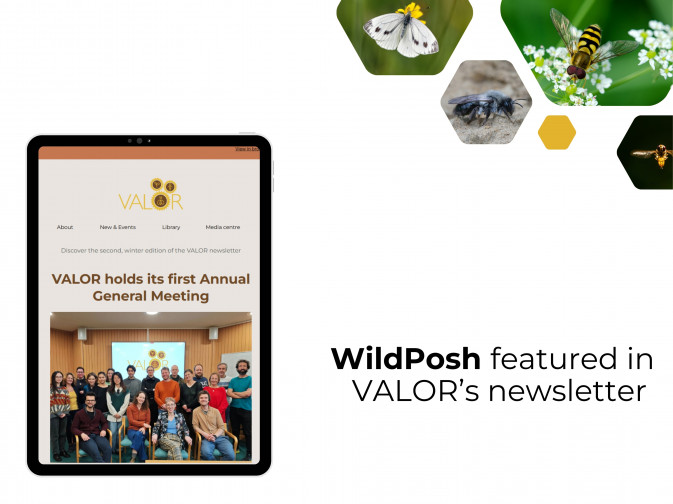WildPosh's introductory video featured in VALOR’s newsletter