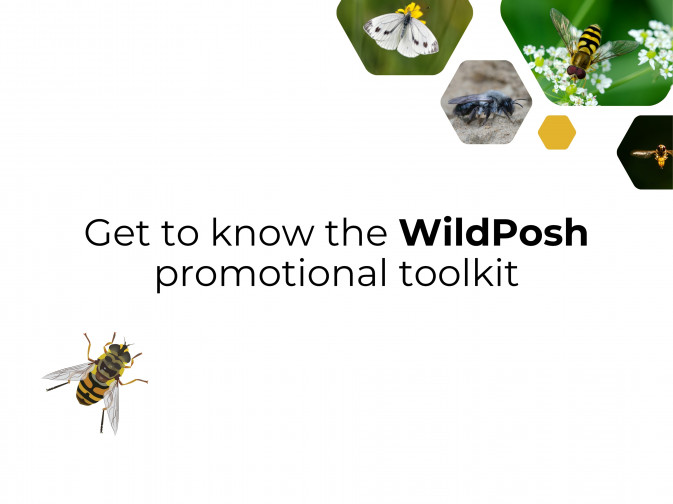 Introducing the WildPosh promotional toolkit