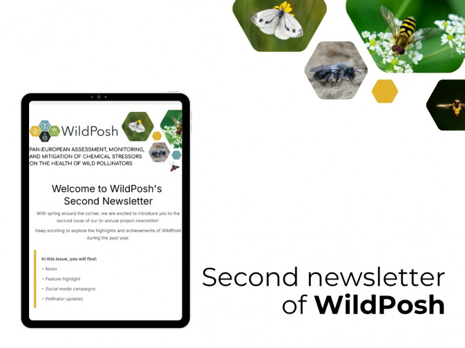 This spring brings the second issue of WildPosh’s newsletter