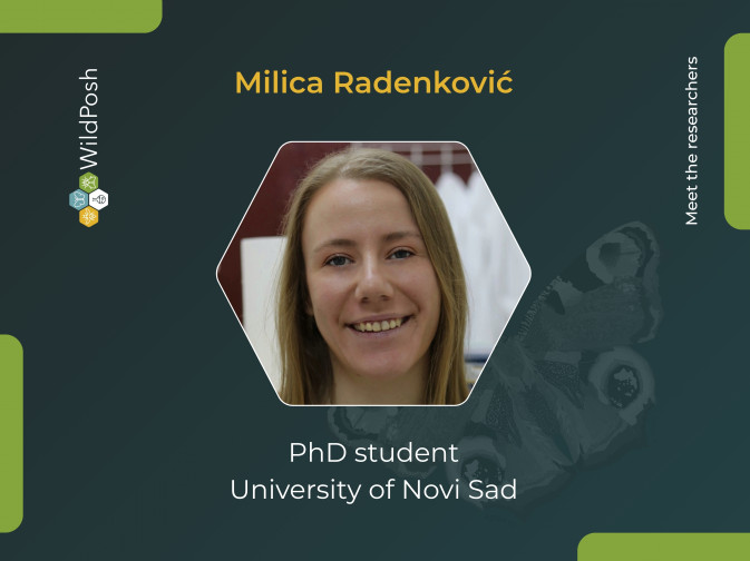 Meet the researchers: Milica Radenković