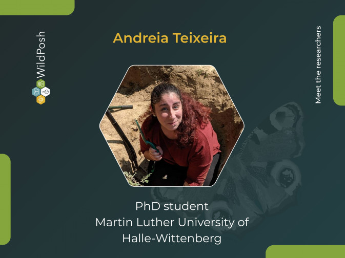 Meet the researchers: Andreia Teixeira