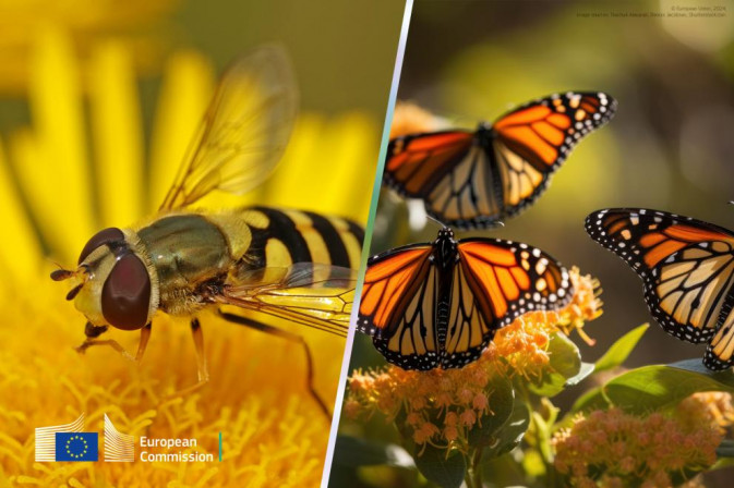 WildPosh featured in REA article on safeguarding pollinators