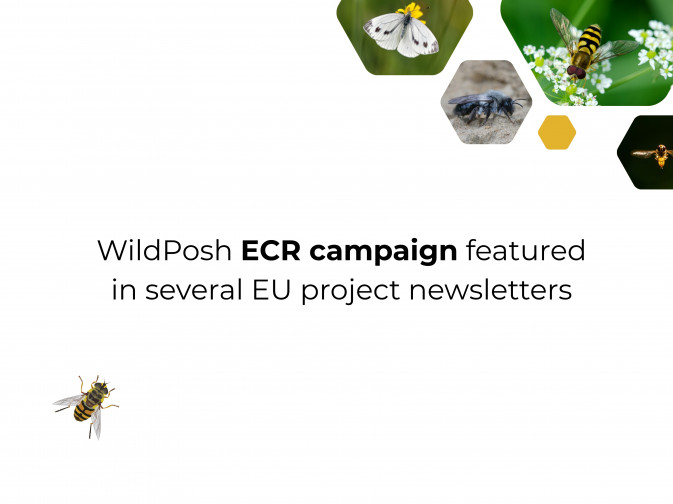 WildPosh mentioned in several EU project newsletters