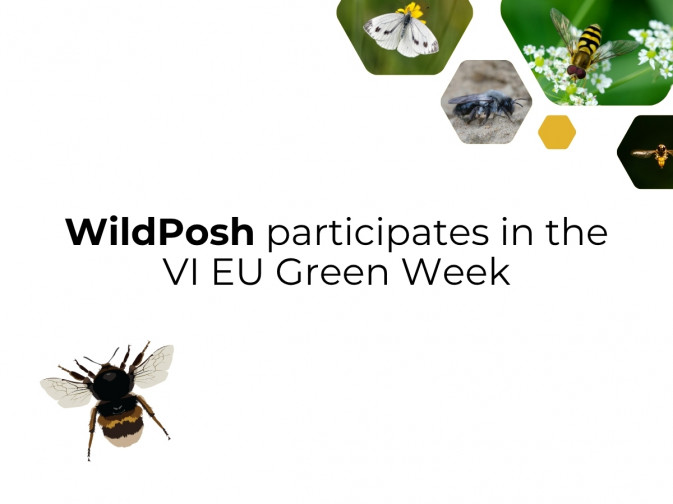 WildPosh presents WP2 research at VI EU Green Week