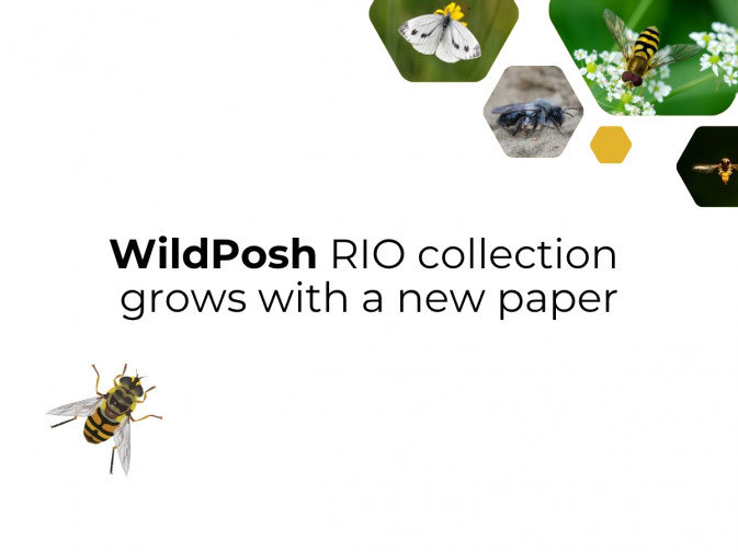 First linked paper in the RIO project collection
