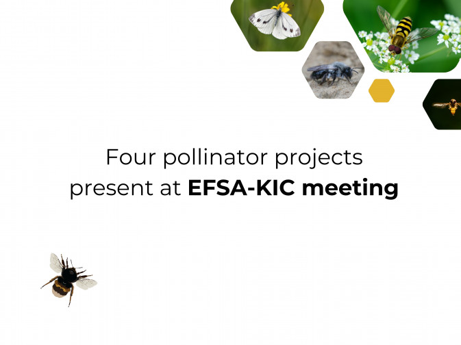 WildPosh and three other pollinator projects present at EFSA-KIC meeting