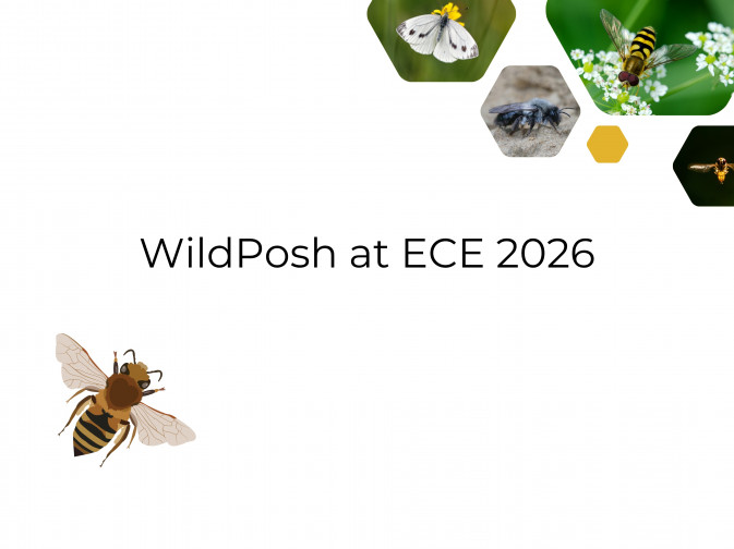 WildPosh partners present research at ECE 2026