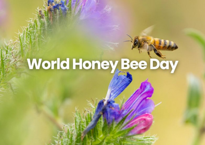 World Honey Bee Day 2026